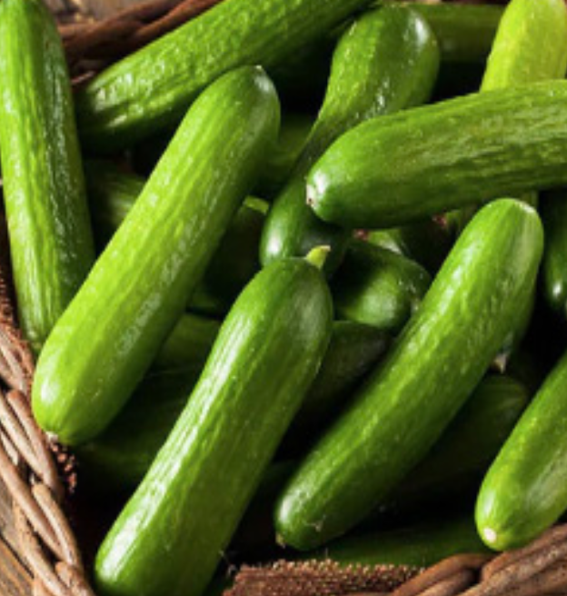 Cucumber &#39;Persian&#39; - 4&quot; (CG)