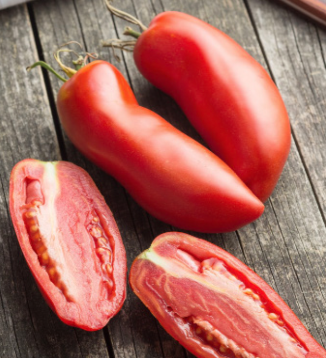San Marzano Gigante Tomato - 4&quot;