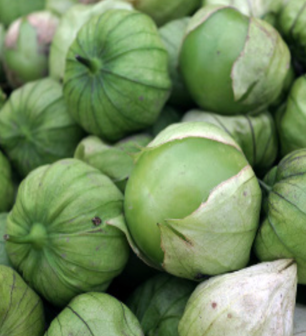 Tomatillo &#39;Super Verde&#39; - 4&quot; 