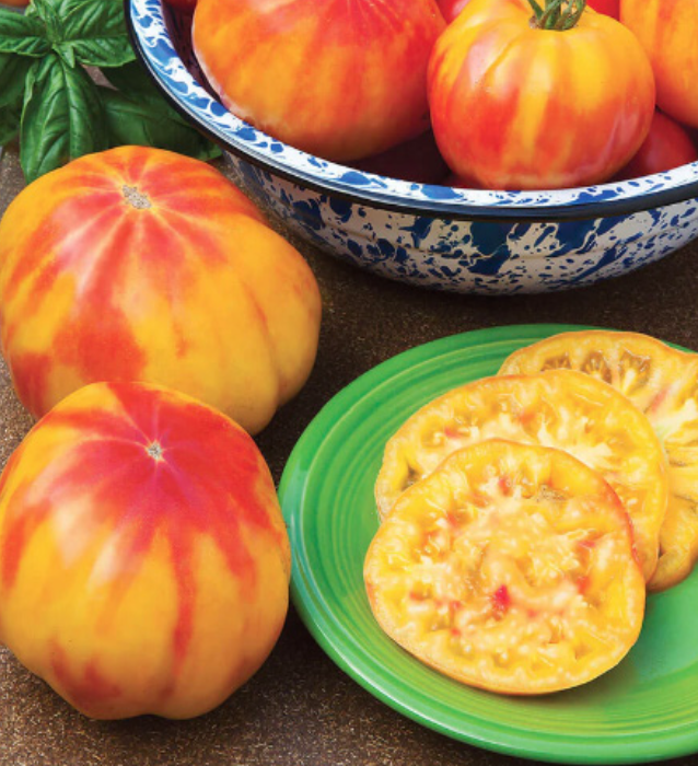 Tomato &#39;Mr. Stripey&#39; OG - 4&quot;