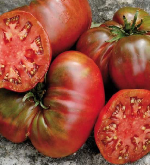 Tomato &#39;Black Sea Man&#39; - 4&quot; (CG)
