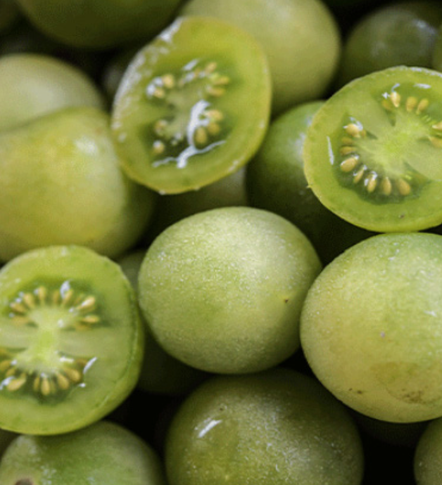 Green Doctors Tomato -4&quot;