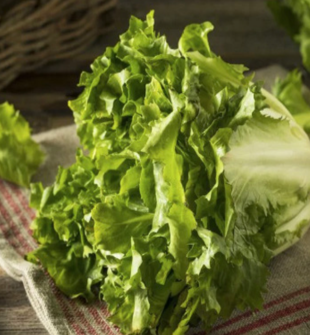 Escarole - 4&quot;