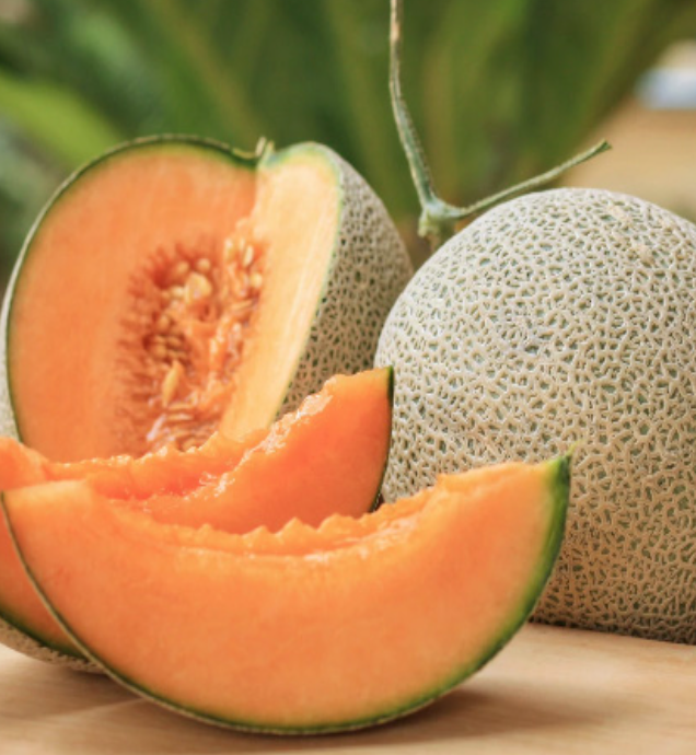 Cantaloupe &#39;Ambrosia&#39; - 4&quot;