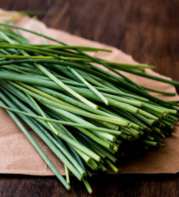 Chives &#39;Garlic&#39; - 4&quot;