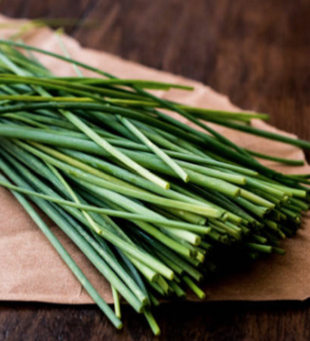 Chives &#39;Garlic&#39; OG - 4&quot;