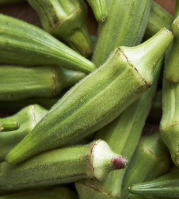 Okra &#39;Clemson Spineless&#39; OG - 4&quot; (AR)