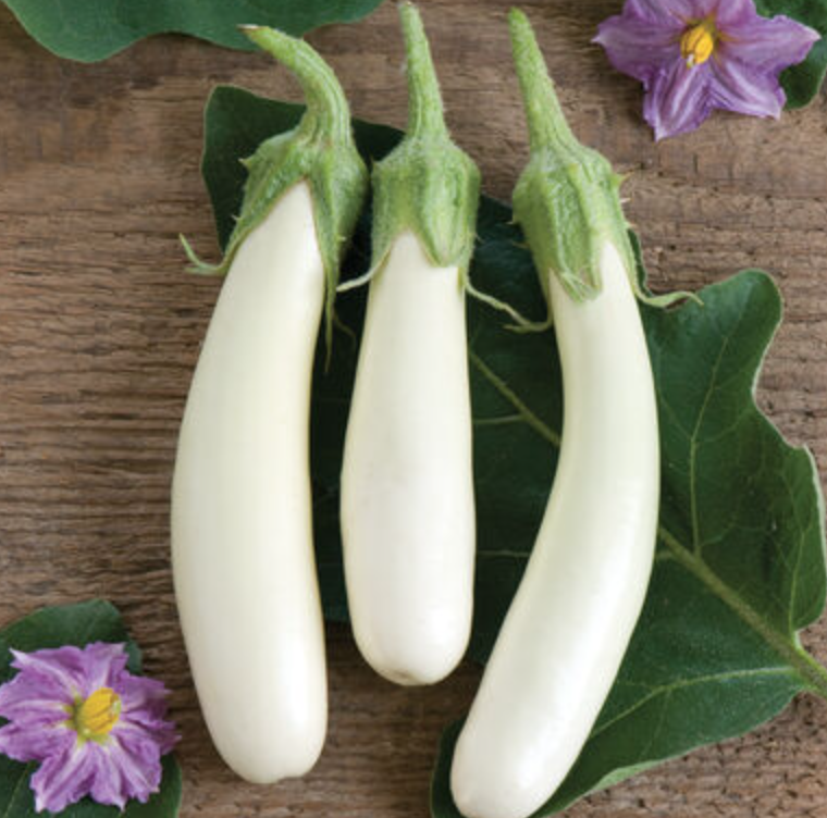 Eggplant &#39;Gretel&#39; (White) - 4&quot;