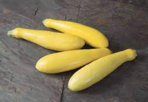 Yellow Straightneck Squash - 4&quot;
