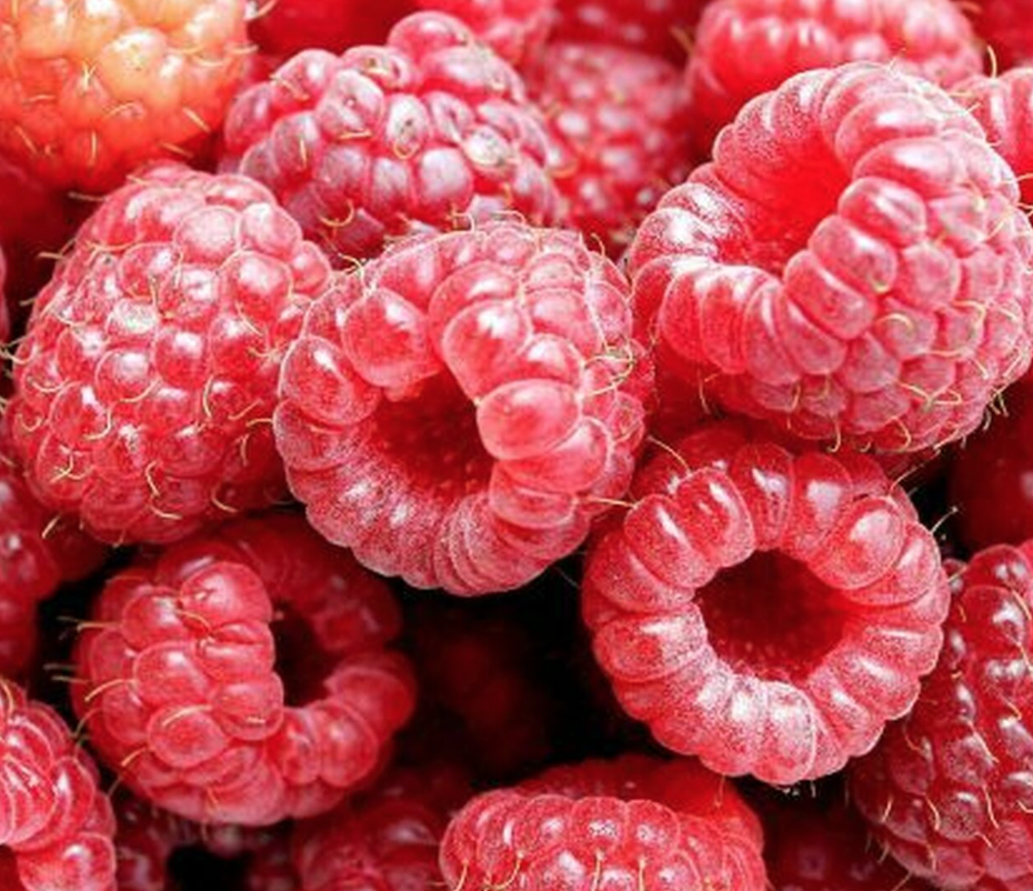 Raspberry &#39;Nantahala&#39; - 1/2g