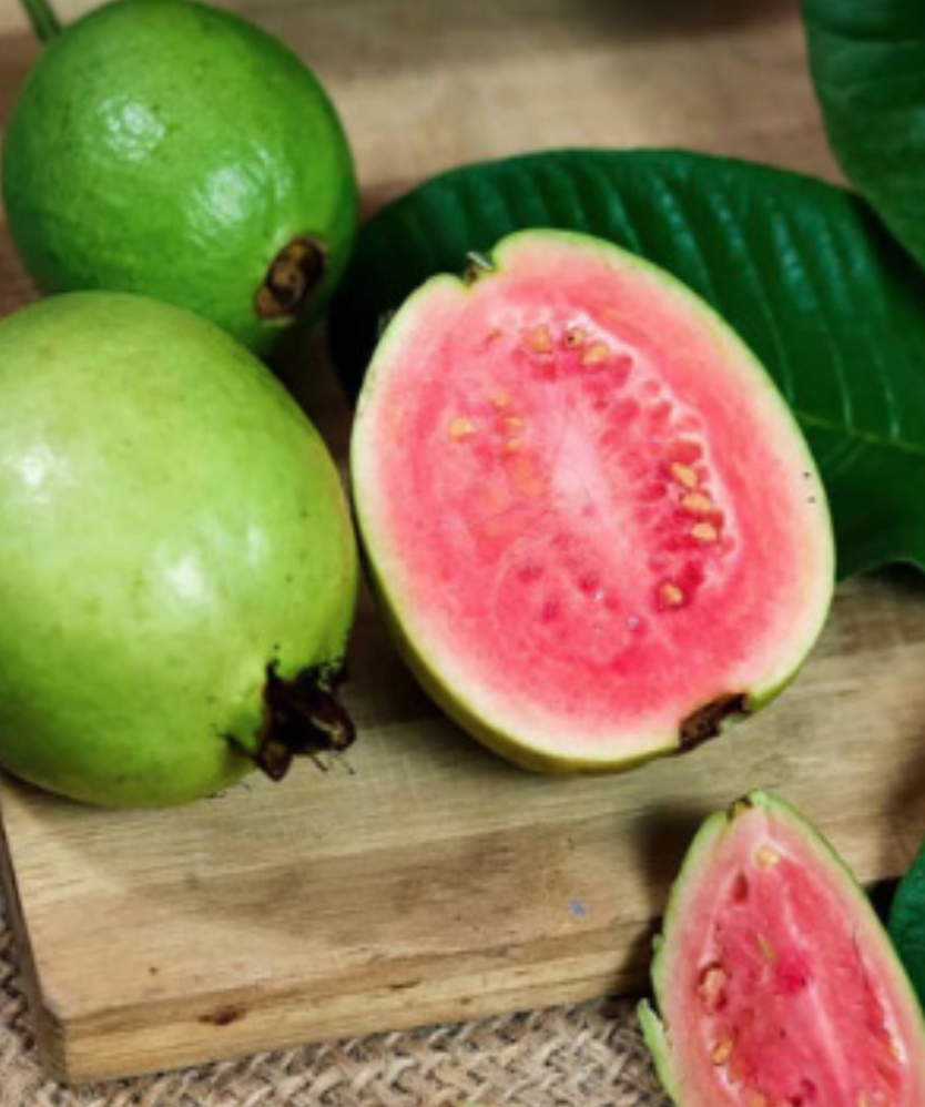 Tropic Pink Guava - 5g