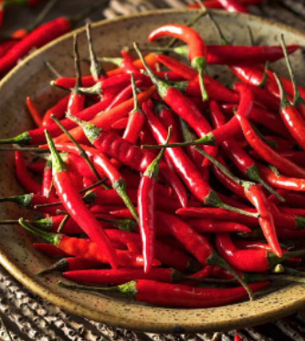 Chili Pepper &#39;Thai&#39; OG - 4&quot;