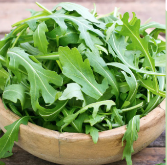 Salad Arugula - 6pk