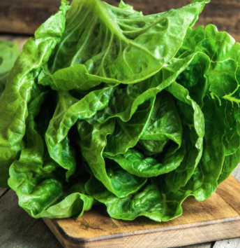 Romain Lettuce  &#39;Paris Isle&#39; - 6pk