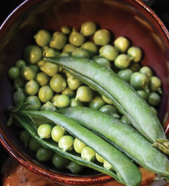 Shelling Bush Pea &#39;Lincoln&#39; - 6pk