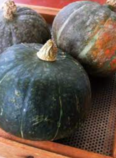 Black Forest Kabocha Squash