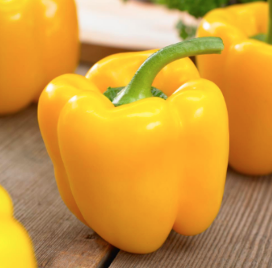 Early Sunsation Bell Pepper - 1g