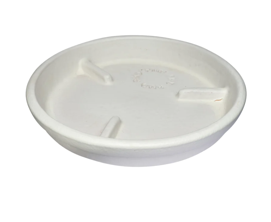 10&quot; Glazed Deep Rib Saucer - Matte White