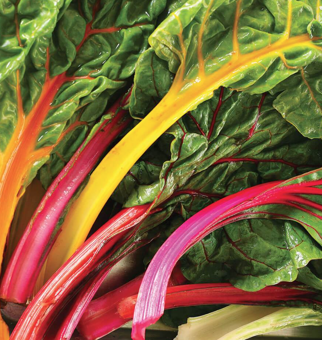 Swiss Chard &#39;Celebration&#39; - 6pk