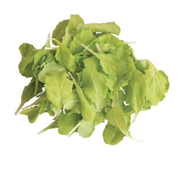 Asian Greens &#39;Tokyo Bekana&#39; - 6pk