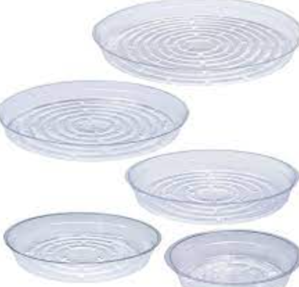 Gardener Select Clear Plastic Saucer - 9&quot;