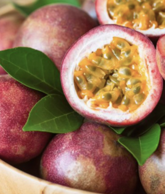 Passion Fruit &#39;Tanaka&#39; - 5 Gallon