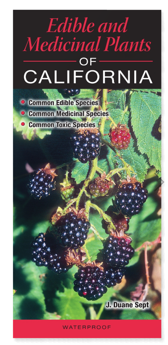 Edible and Medicinal Plants of CA - Guide