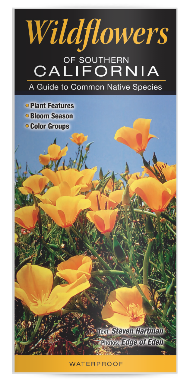 Wildflowers of Southern CA - Guide