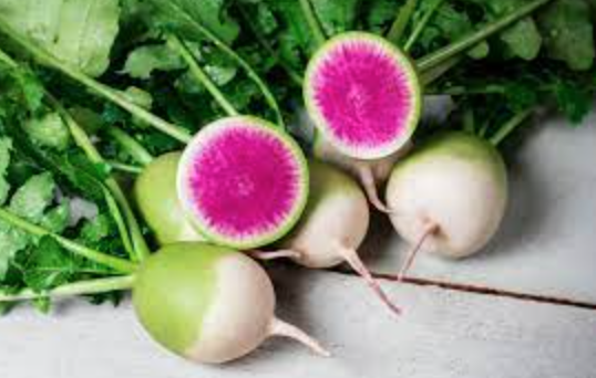 Radish &#39;Stargazer&#39; - 6pk