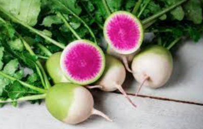 Radish 'Stargazer' - 6pk