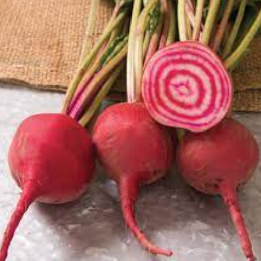 Beet &#39;Chioggia Guardsmark&#39; OG - 6pk