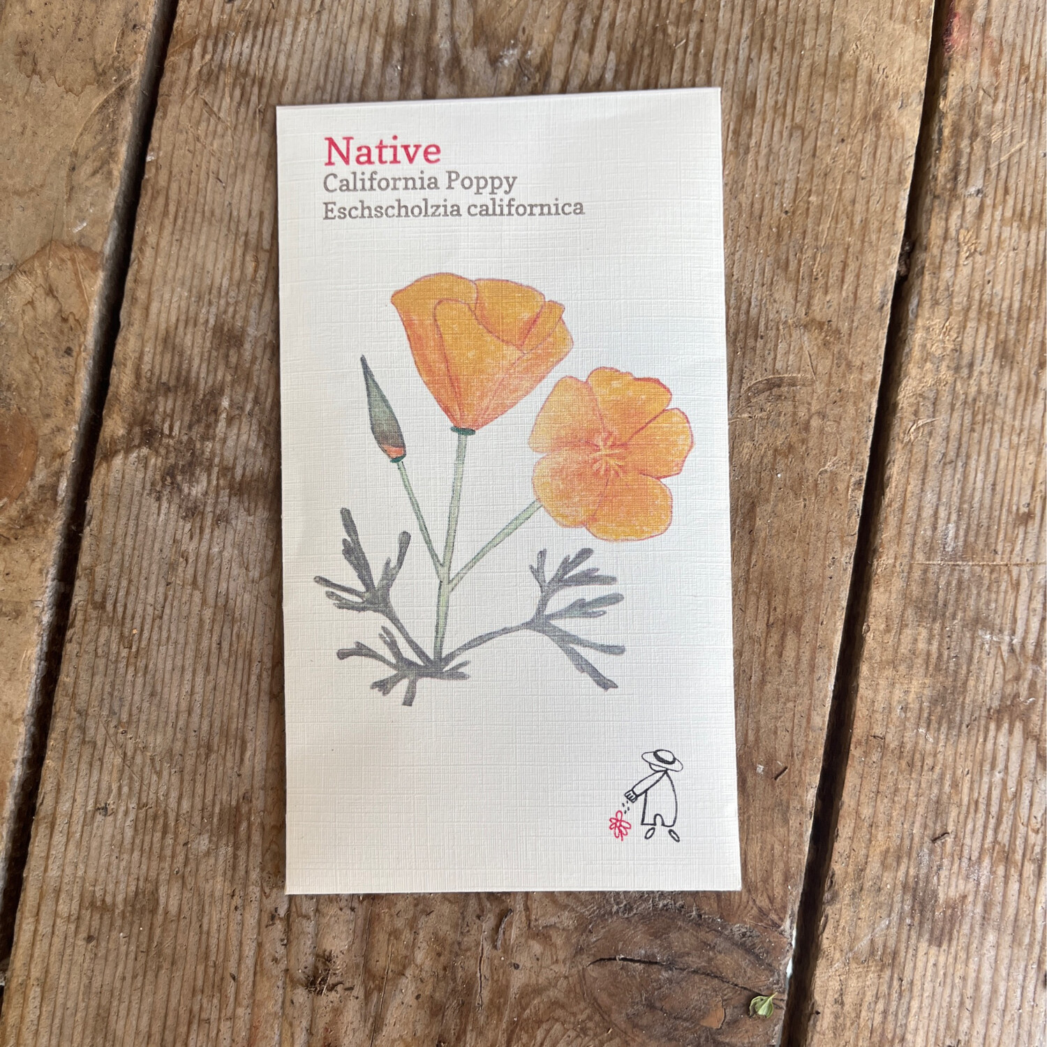 California Poppy Seeds - (Regular)