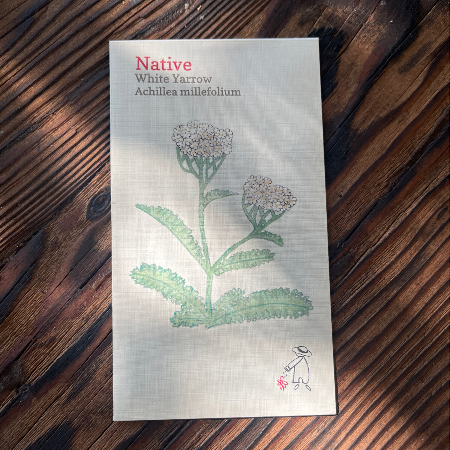 Heirloom White Yarrow Seed