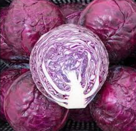 Cabbage &#39;Red Integro&#39; OG - 6pk