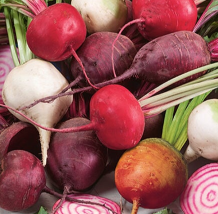 Beet &#39;Rainbow Mix&#39; - 6pk
