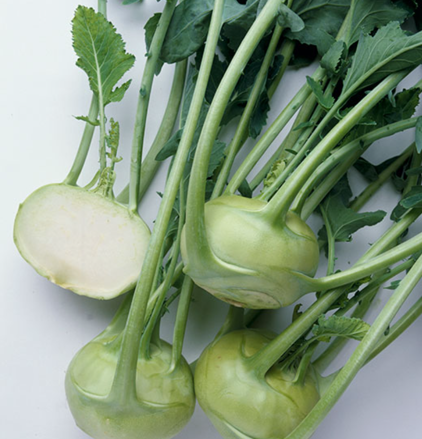 Kohlrabi &#39;Winner&#39; - 6pk