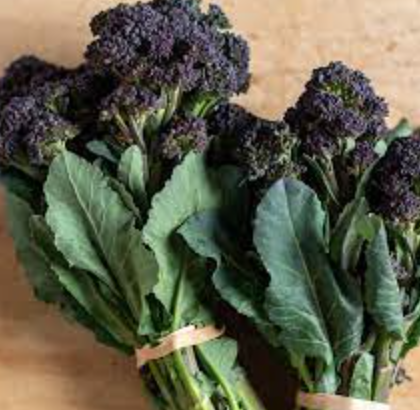 Broccoli &#39;Baby Burgundy&#39; - 6pk