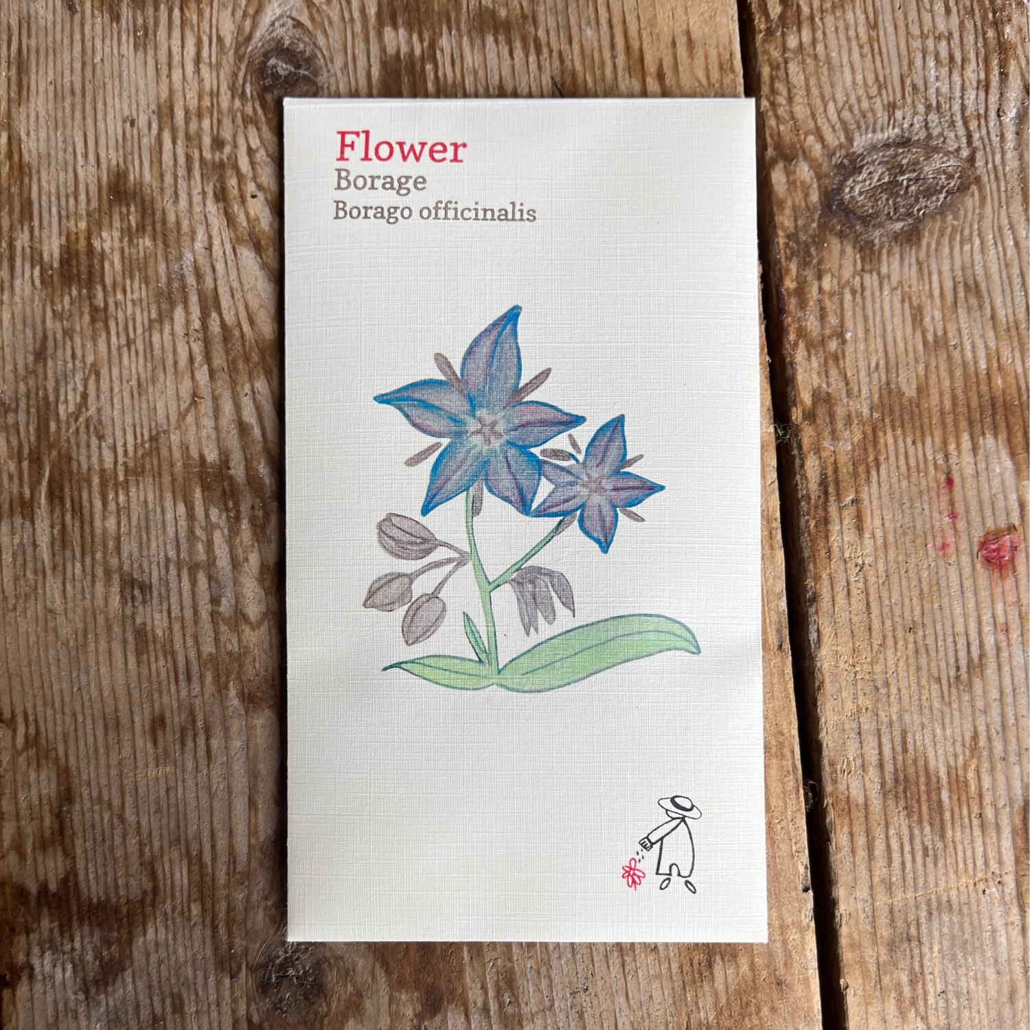 Borage Seeds