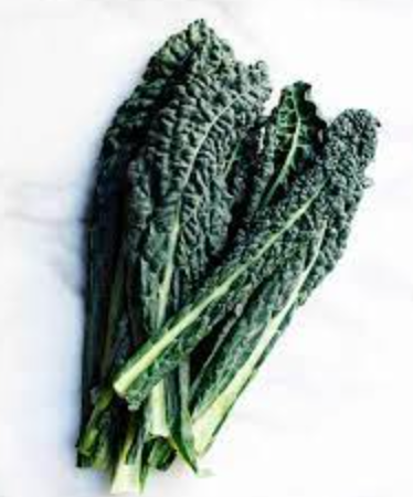 Kale &#39;Lacinato&#39;- 6pk