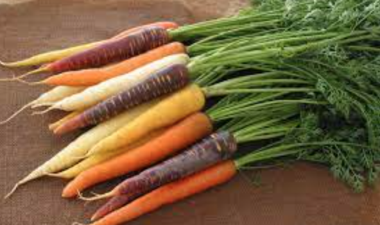 Carrot &#39;Harlequin&#39; - 6pk