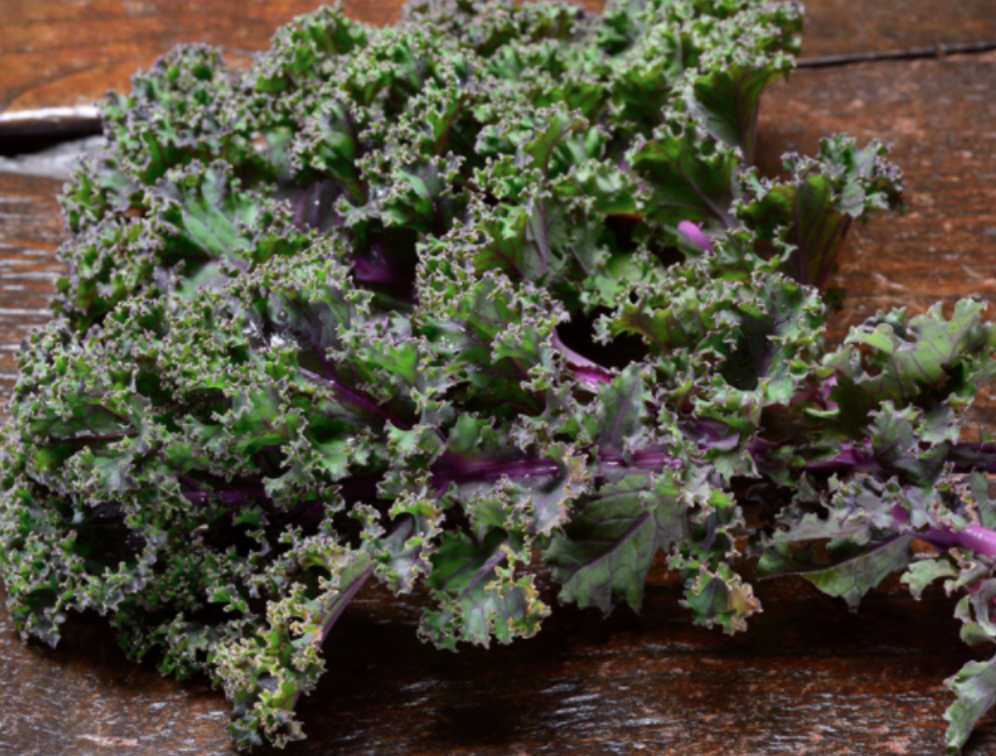 Kale &#39;Russian Red&#39; - 6pk