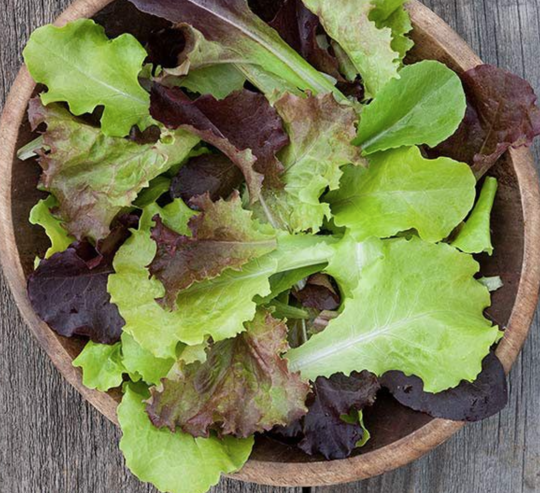 Gourmet Salad Blend - 6pk