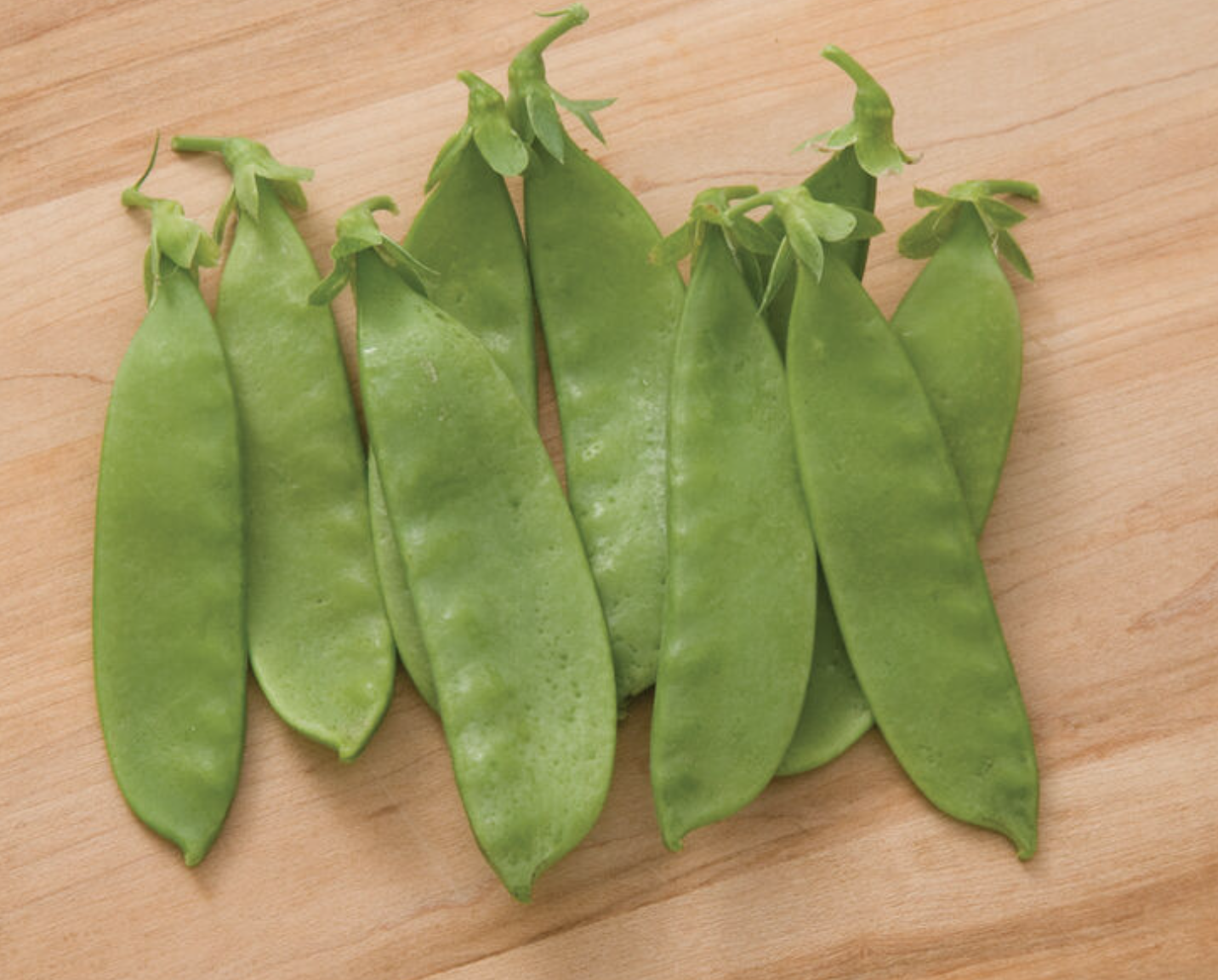 Peas &#39;Oregon Giant&#39;  (Snow) - 6pk