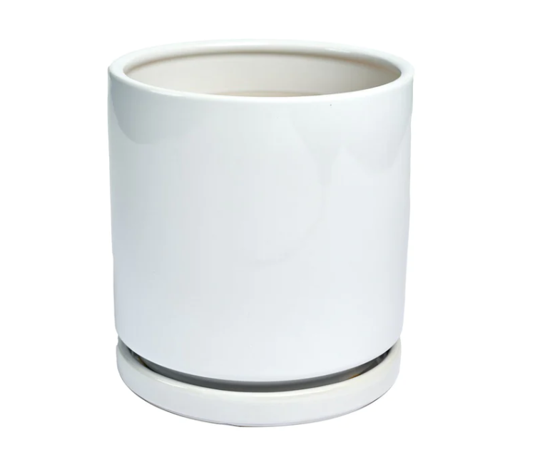 6&quot; Porcelain Glaze w Saucer - Matte White