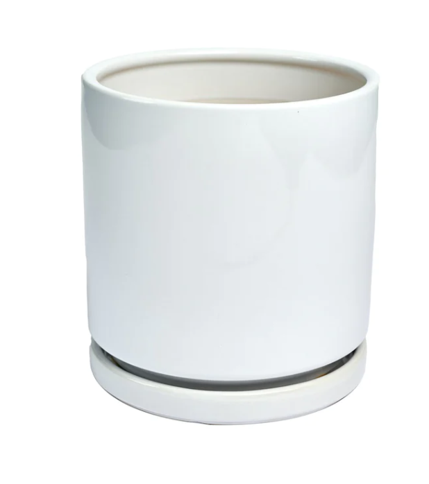 4&quot; Porcelain Glaze w Saucer - Matte White