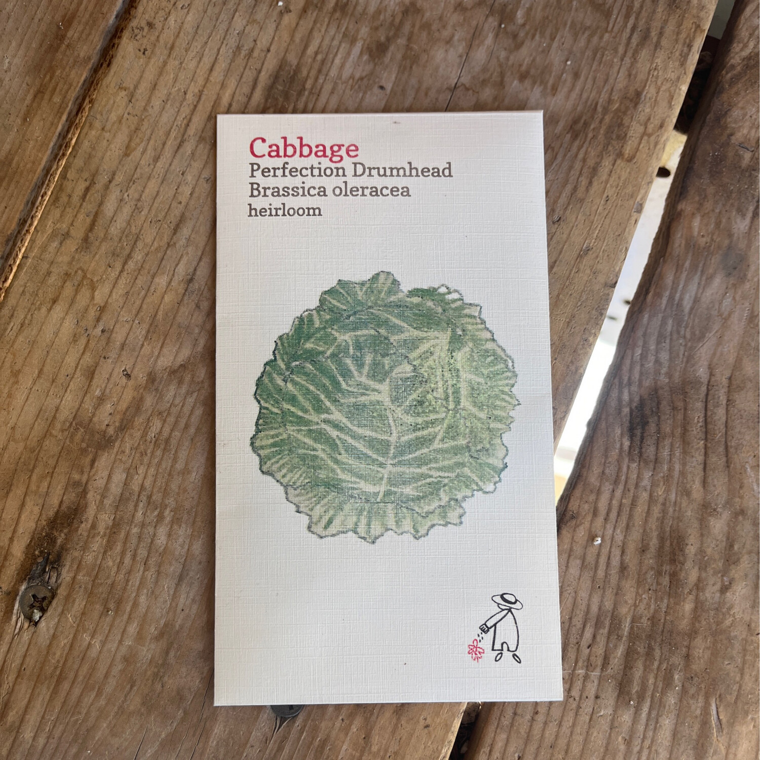 Perfection Drumhead Cabbage Seeds