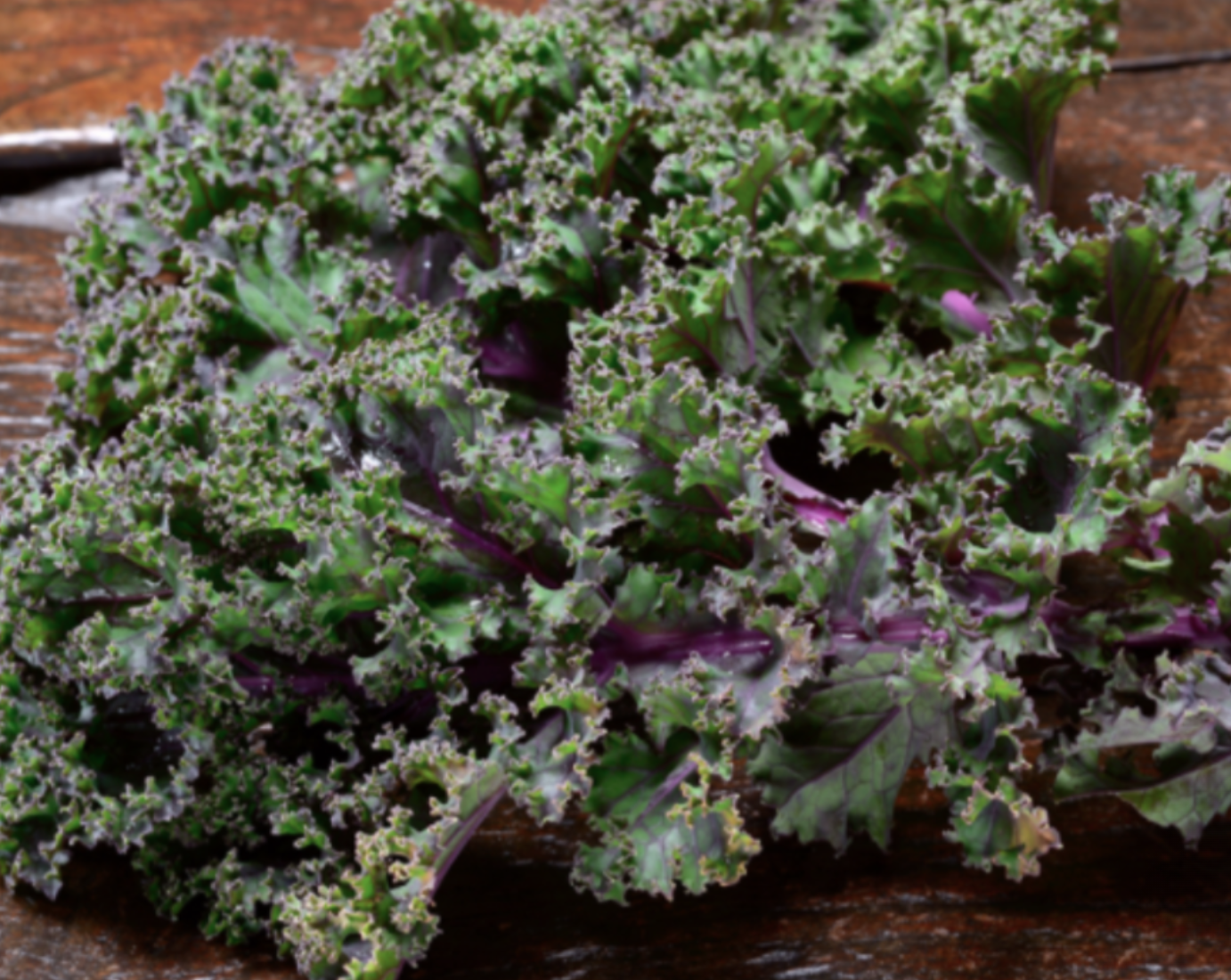 Kale &#39;Russian&#39; (Dwarf) - 4&quot;