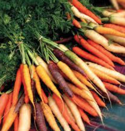Carrot &#39;Rainbow Blend&#39; - 6pk