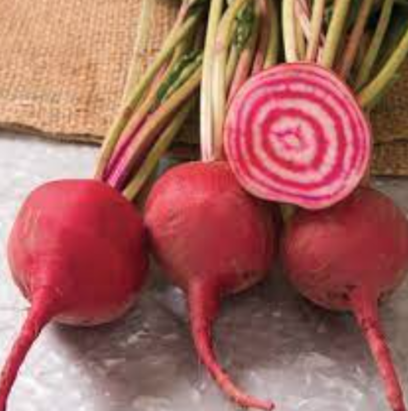 Beet &#39;Chioggia Guardsmark&#39; - 6pk