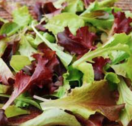Lettuce &#39;Salad Bowl Mix&#39; - 6pk